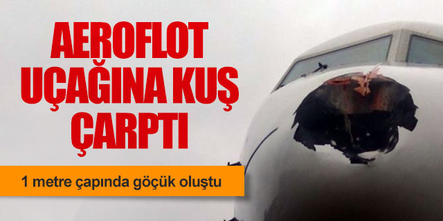 Aeroflot'un B737 uçağına kuş çarptı