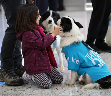 İGA 'Terapi Köpek Pojesi'ni Hayata Geçirdi