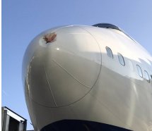 British Airways'in dev uçağına kuş çarptı