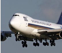 Singapore'un kargo uçağına koyun engeli