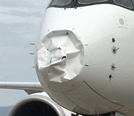 Air France uçağına kuş çarptı